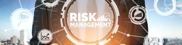 Security Risk Management and Assessments